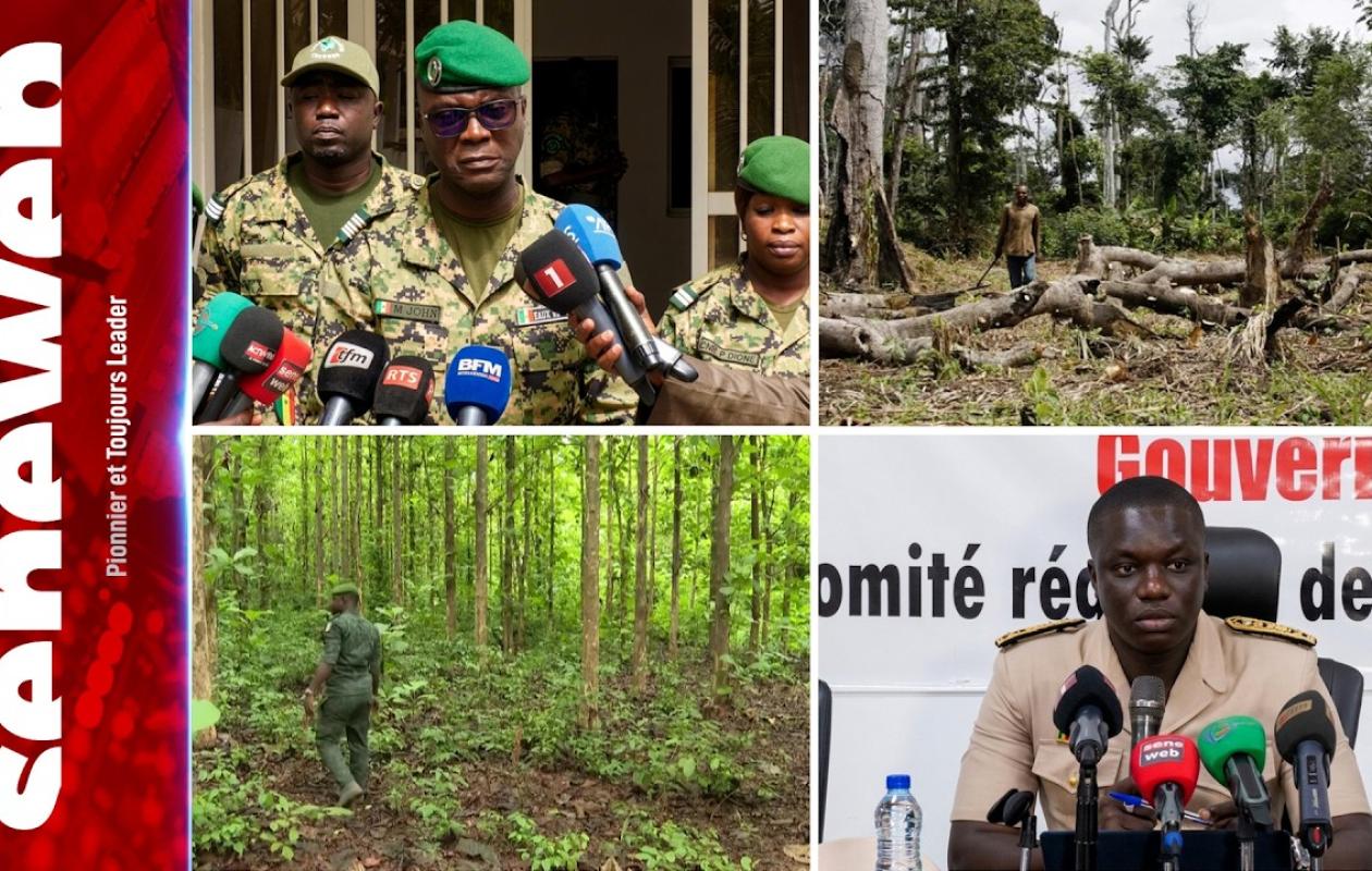 Protection des forêts classées : Thiès engage une vaste opération de délimitation