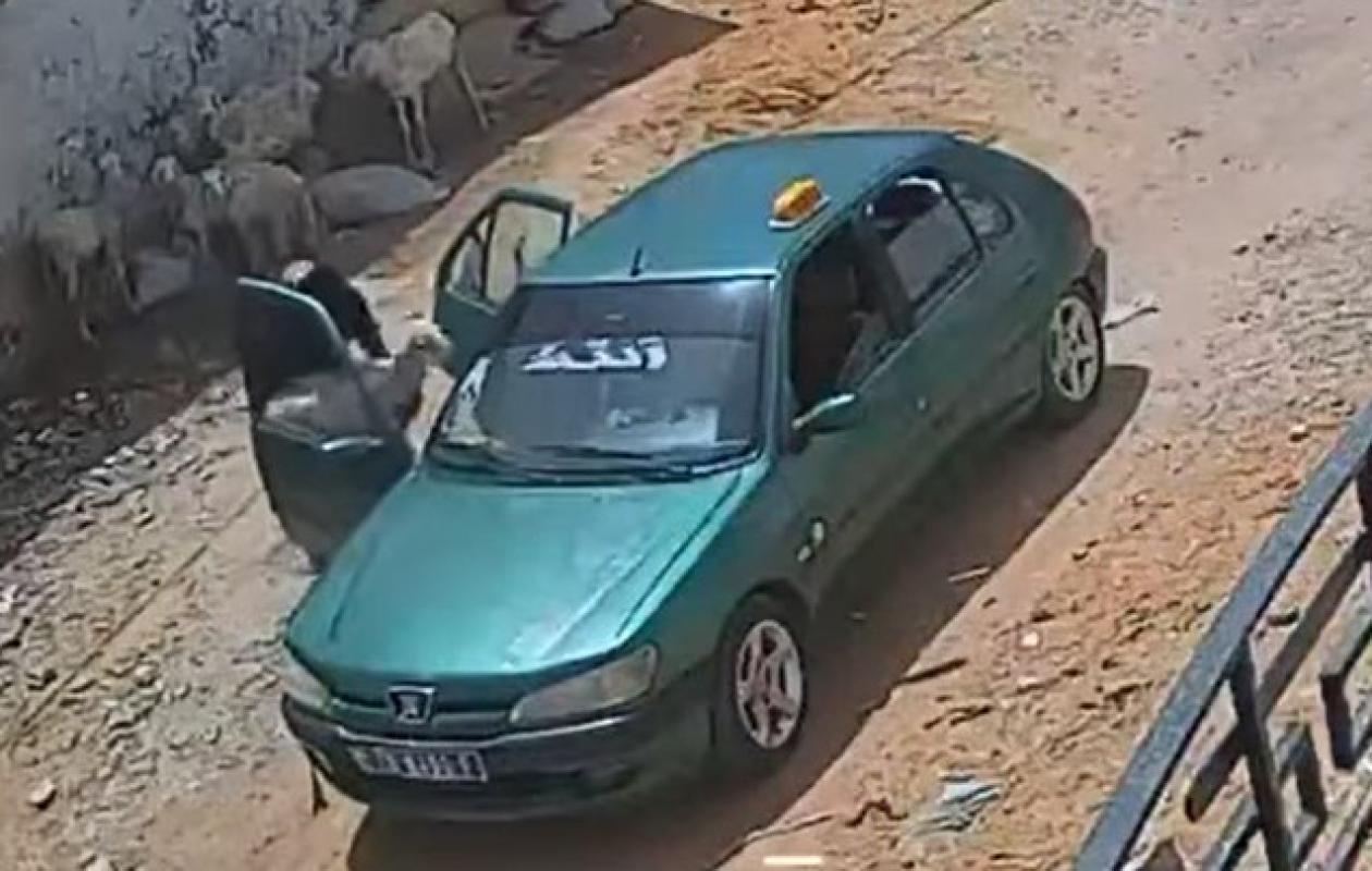 Filmé en plein vol à Touba : un gang opérant en taxi démantelé par la police de Ndamatou