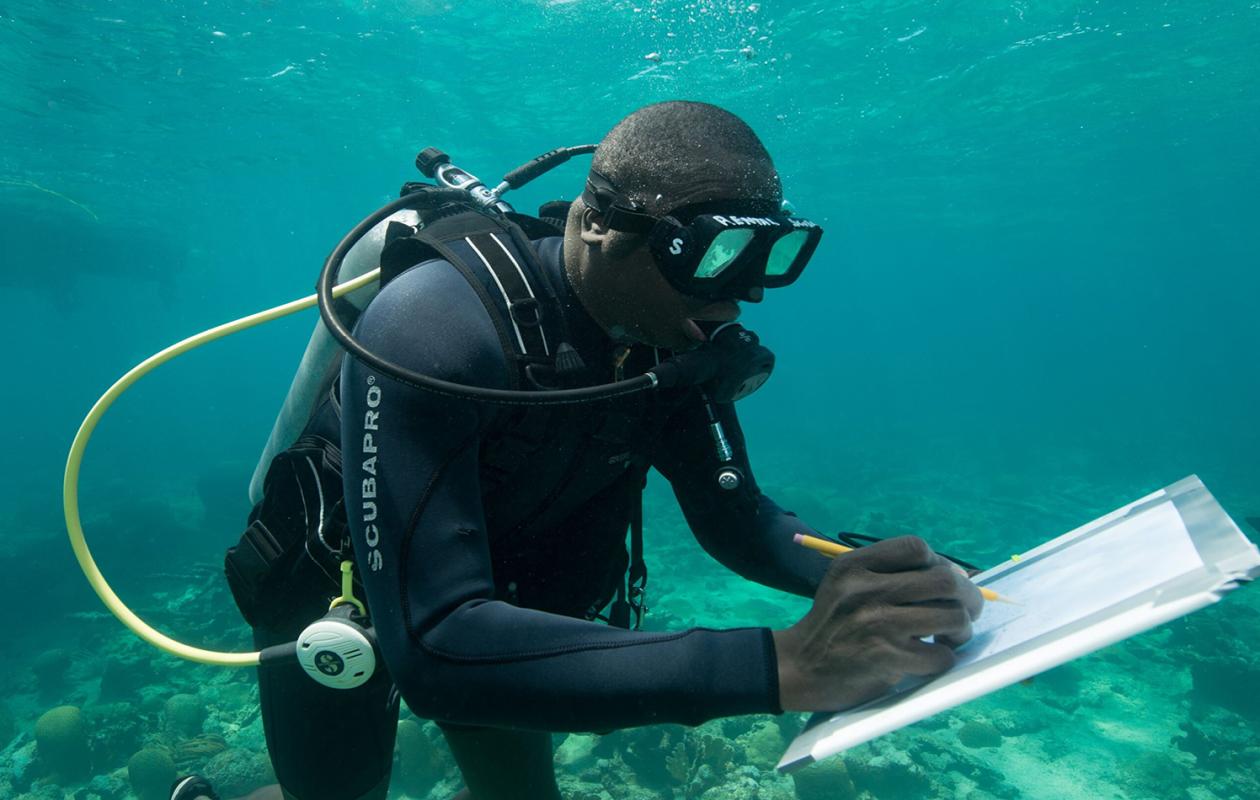 Patrimoine sous-marin : une nouvelle alliance pour préserver la mémoire des océans