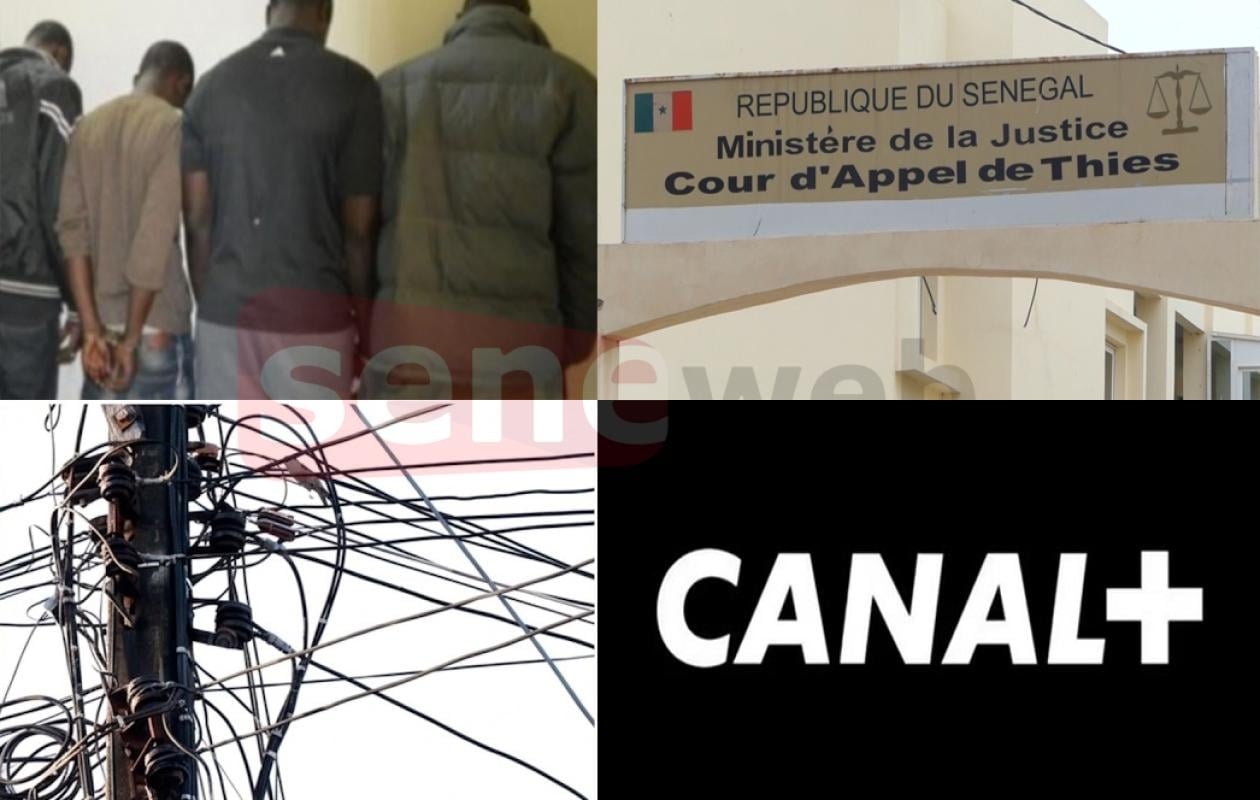 Piratage à Mboro : Quatre câblodistributeurs traînés au tribunal par Canal+