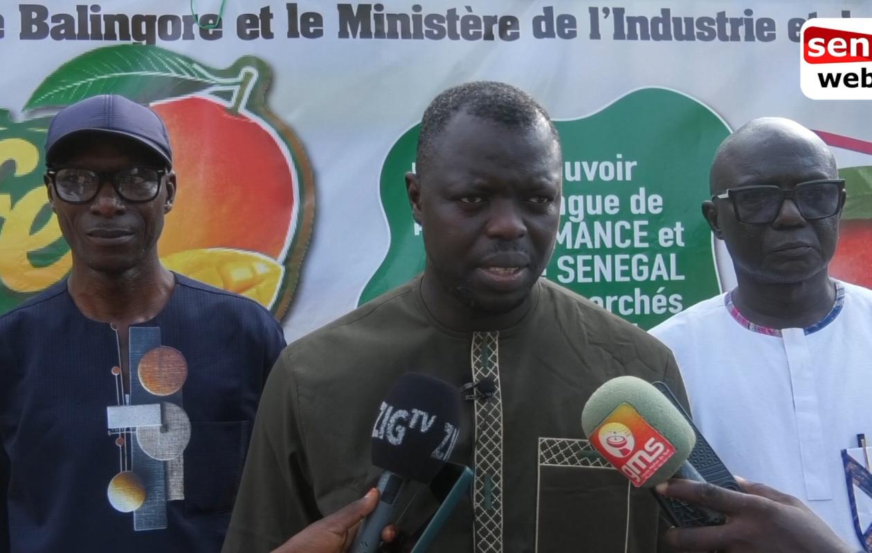 Valorisation de la mangue : À Balinghore, plaidoyer collectif à l’accès des femmes aux terres pour renforcer la productivité