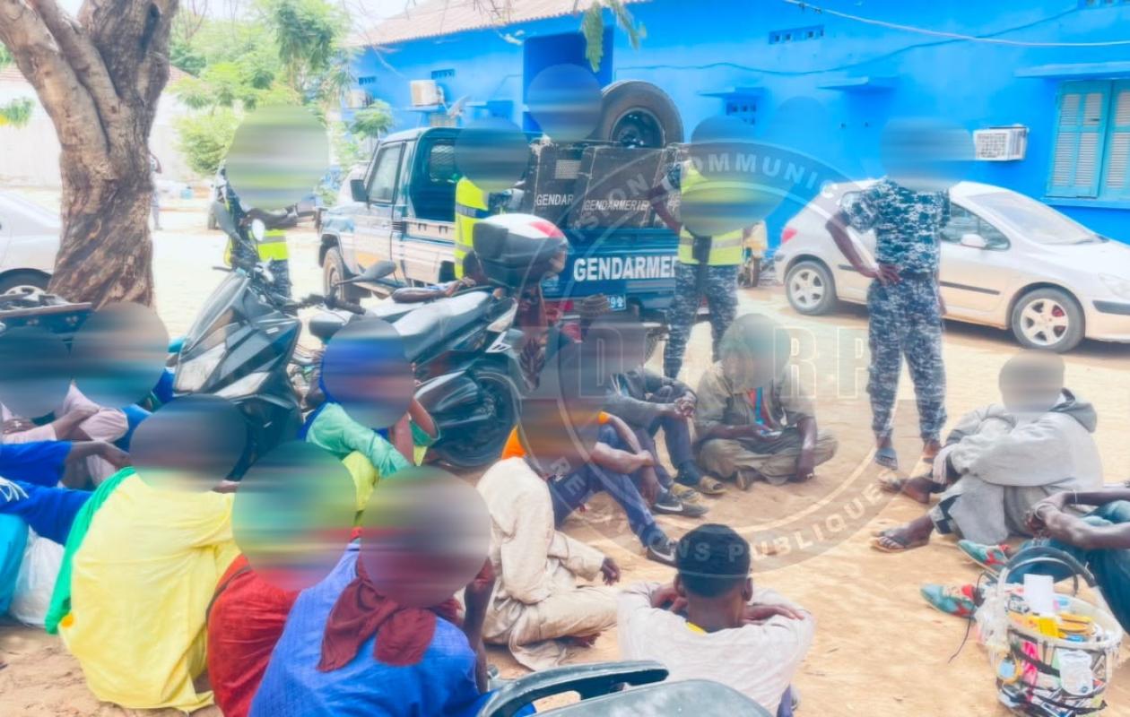 358 interpellations, 12,3 kg de drogue, 207 kg de viande et des armes saisis : la gendarmerie de Touba en guerre contre le banditisme