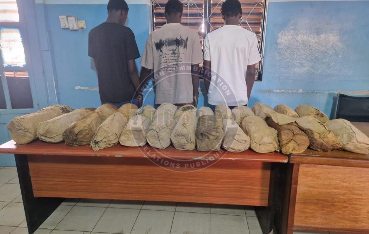 Petit-Mbao : 26 kg de chanvre indien saisis, trois trafiquants arrêtés par la gendarmerie