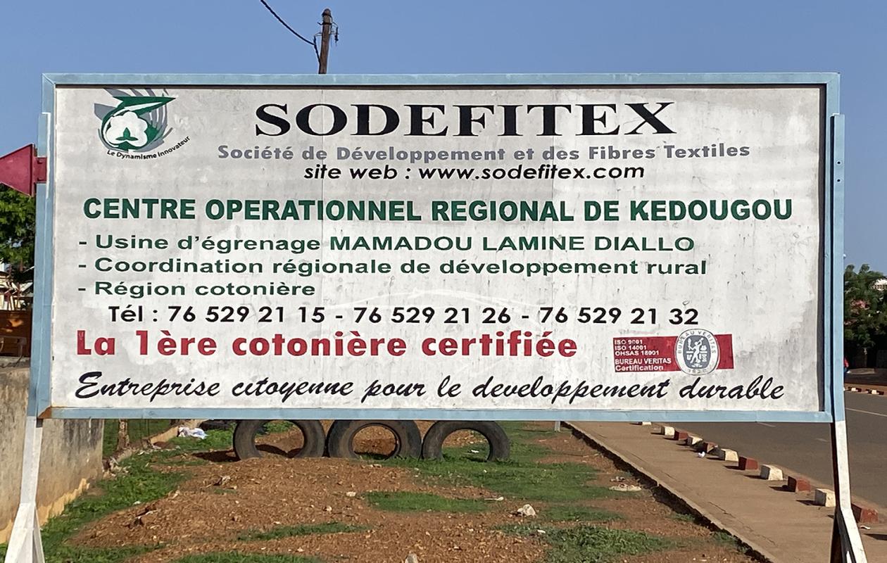 Campagne cotonnière 2026-2027 : la SODEFITEX vise une production record à Kédougou