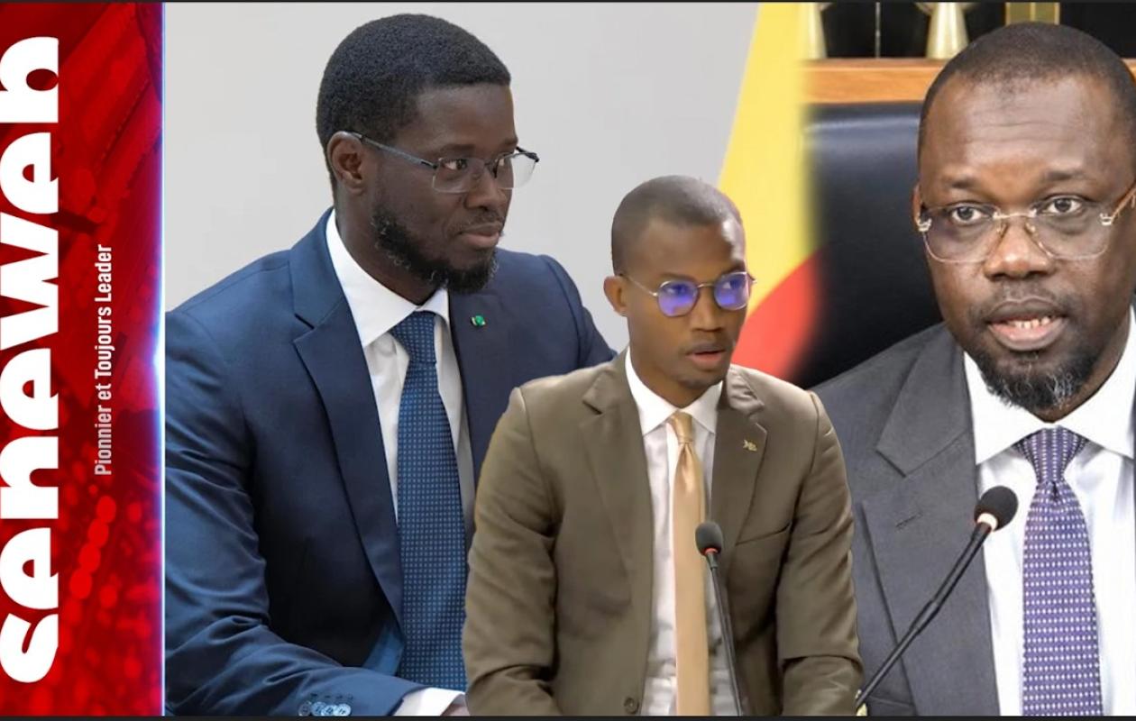 Revirement, motion de censure...: "Pourquoi on ne doit pas affaiblir Diomaye" (M. Diallo)