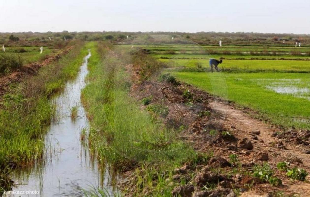 Gestion des connaissances : Le PRDC-VFS pose les bases d'une plateforme territoriale pour la vallée du fleuve Sénégal