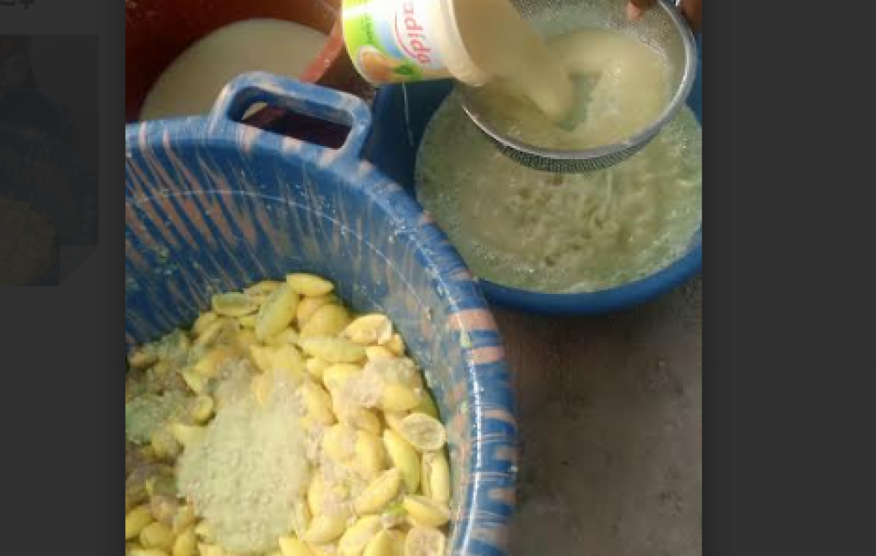 Casamance : La transformation artisanale du citron fait émerger une entreprise locale