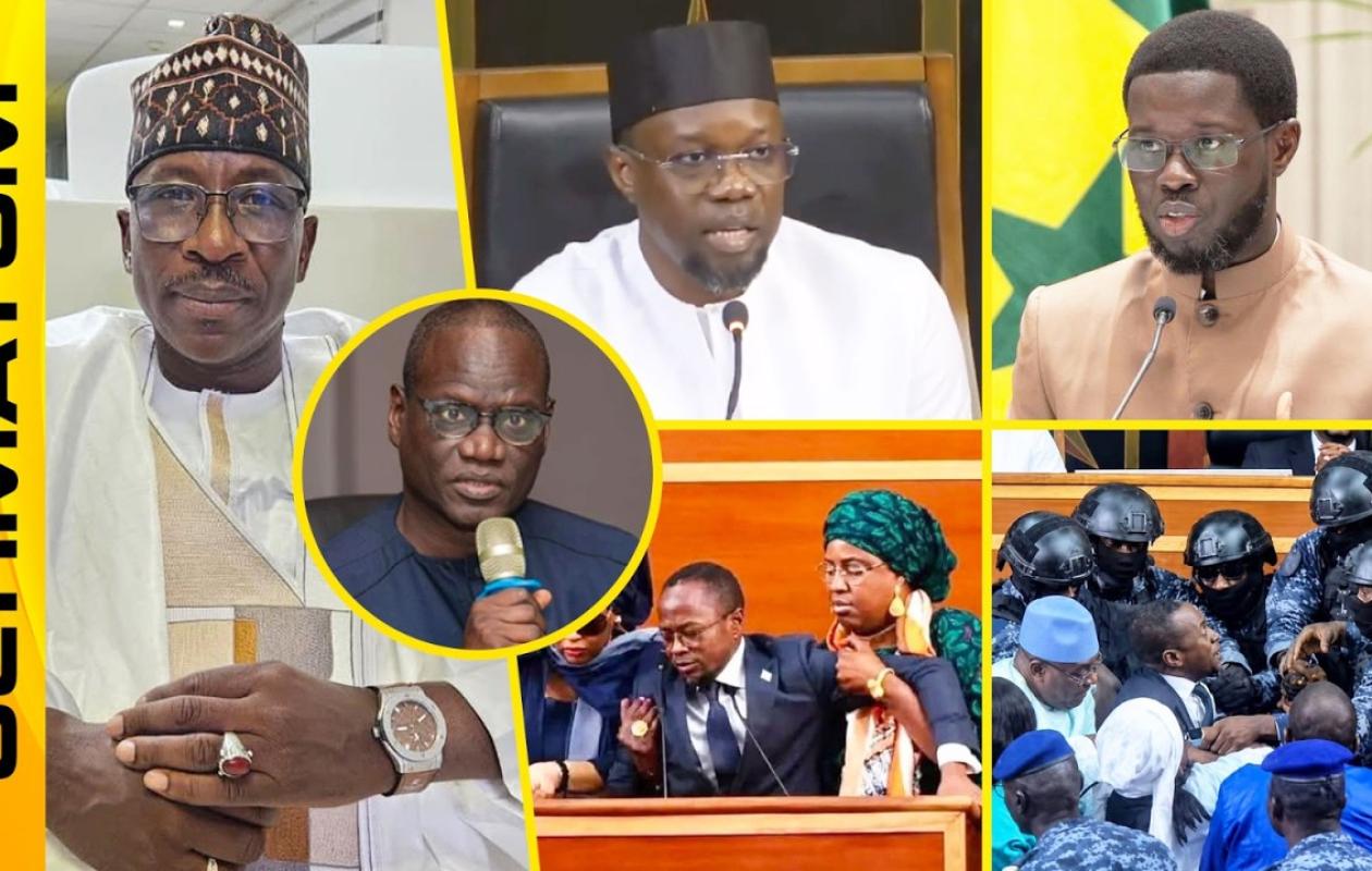 Réforme constitutionnelle, référendum, tensions et arrestations: Samba Tall Sarr se prononce