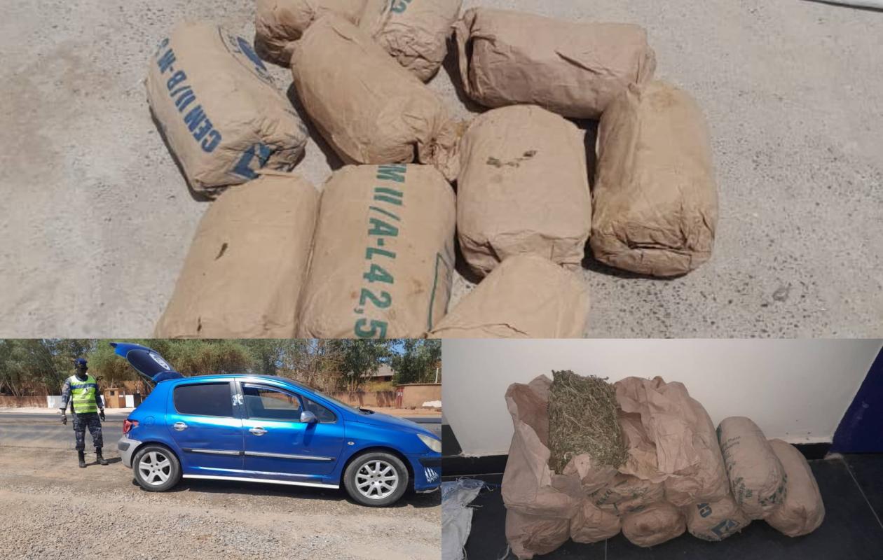 10 kg de drogue et deux cartes de transfert d'argent : La gendarmerie de Nianing met à nu un trafic bien huilé