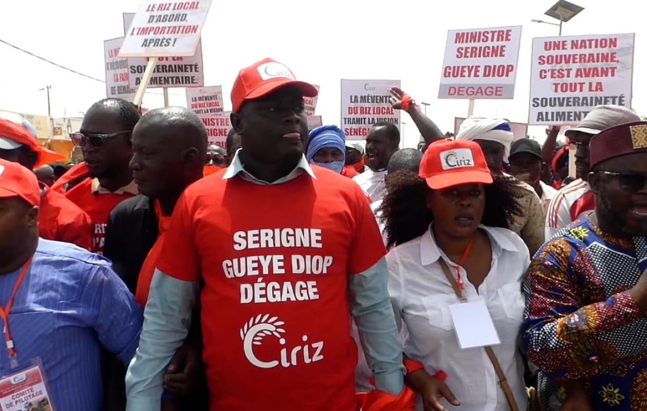 Saint-Louis : Les producteurs de riz de la vallée dénoncent la mévente et réclament le départ du ministre Serigne Guèye Diop