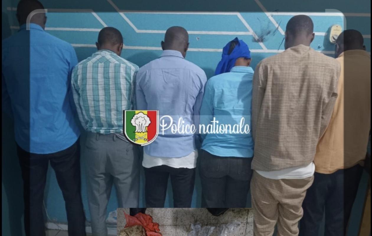Thiès : Un réseau de trafic de chanvre indien démantelé à Darou Salam, deux suspects arrêtés
