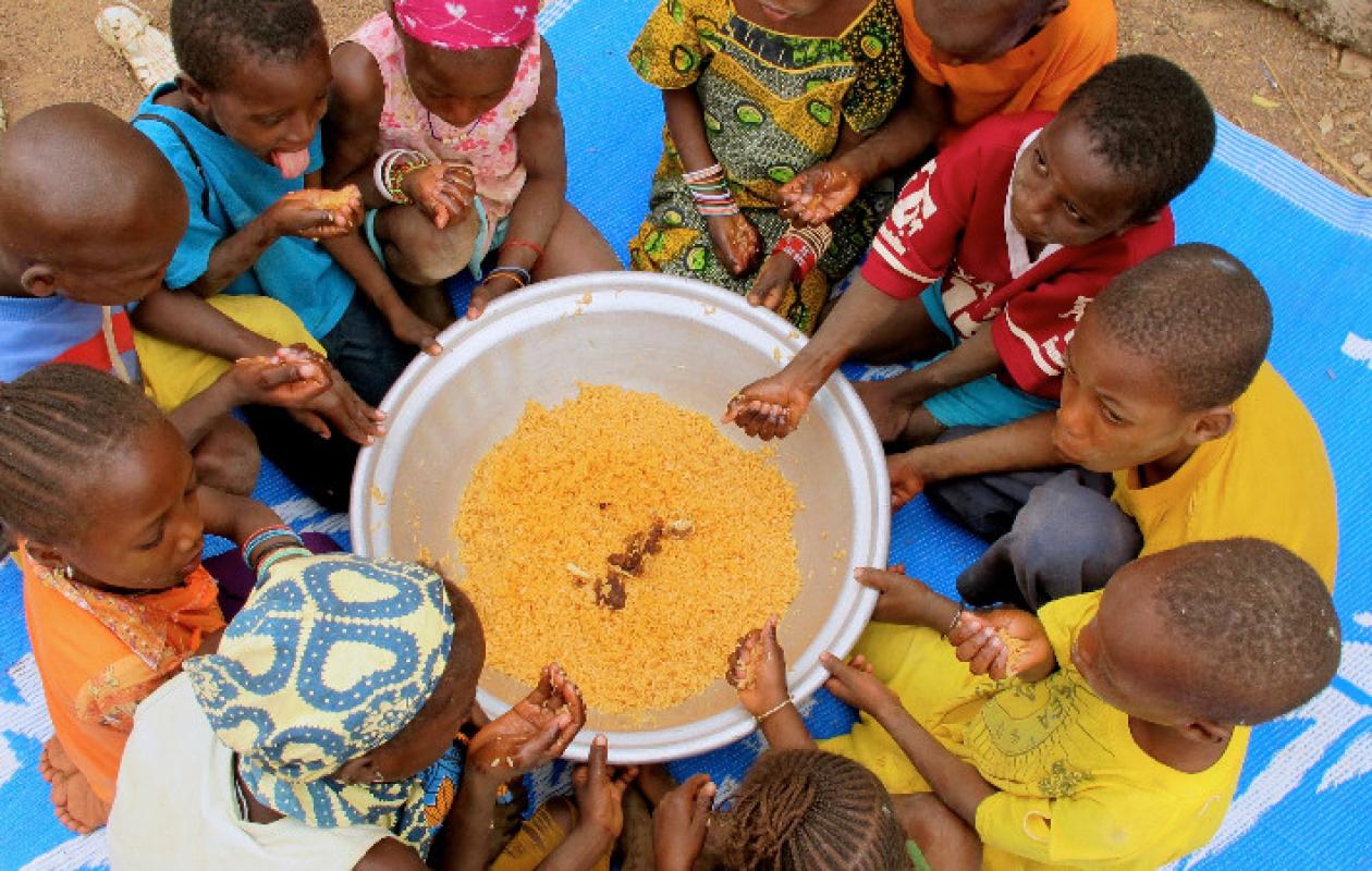 Selon la FAO, 309 millions d&rsquo;Africains souffrent encore de la faim malgré des progrès historiques