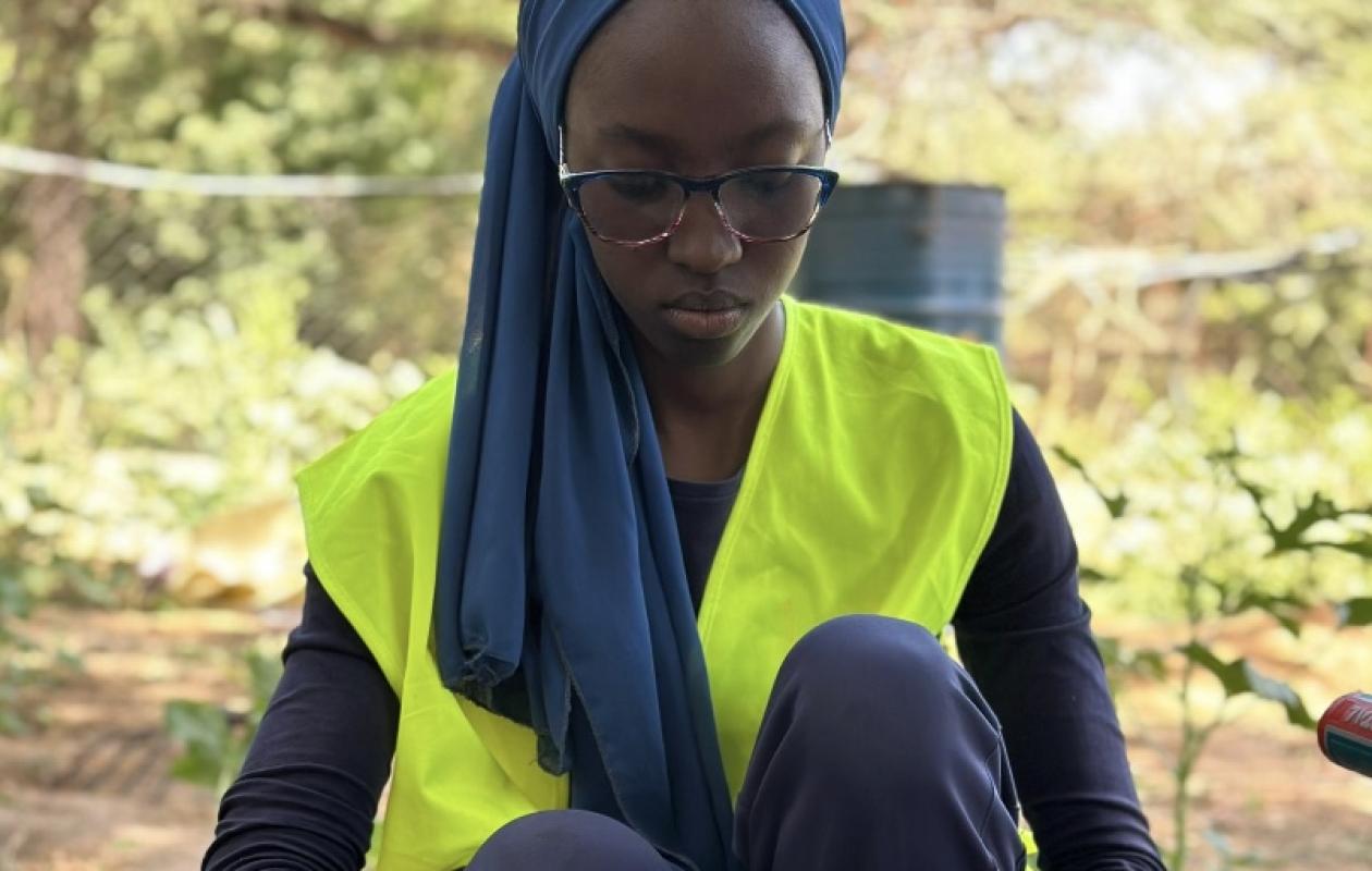 Sédhiou : Mariama Tidiany Coundoul transforme les cactus en énergie durable