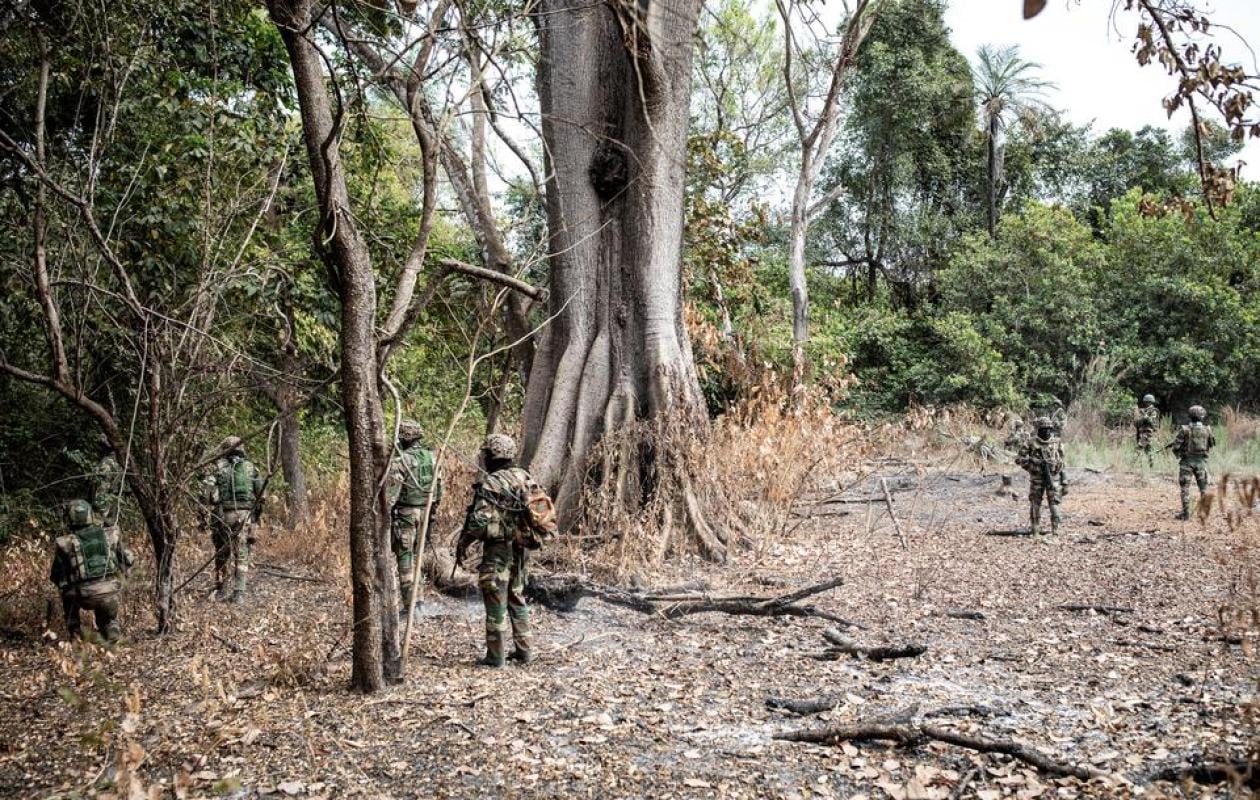 Ziguinchor : l’armée saisit plus de 80 billons de teck