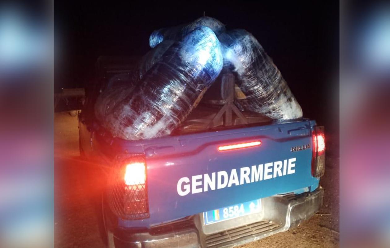 Nianing : 242 kg de chanvre indien saisis lors d’un débarquement avorté, trois individus interpellés