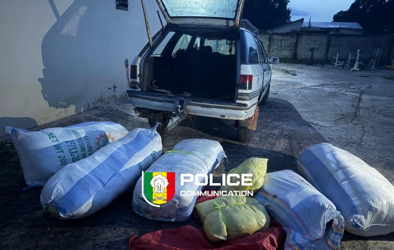 Senegal seizes nearly 600,000 plastic bags at Guinea border