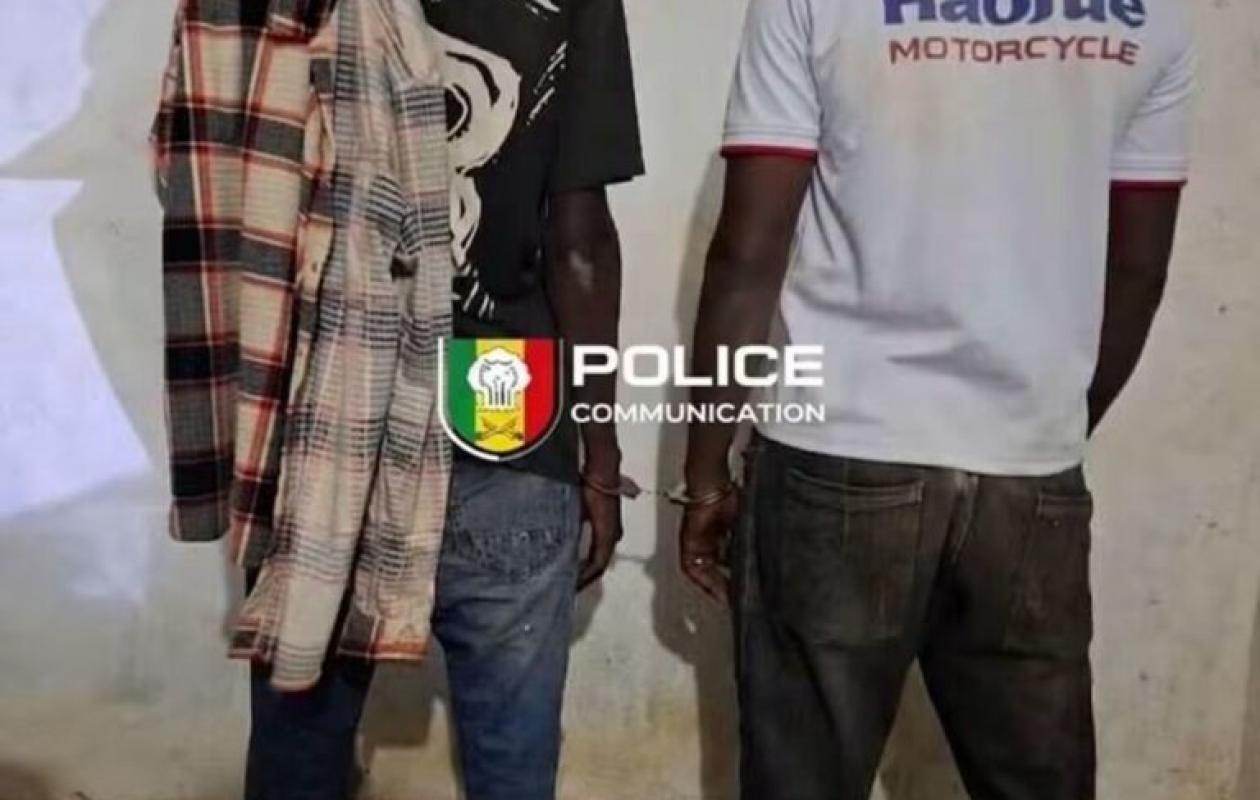 Kédougou : 3 900 comprimés de Tramadol saisis à Moussala