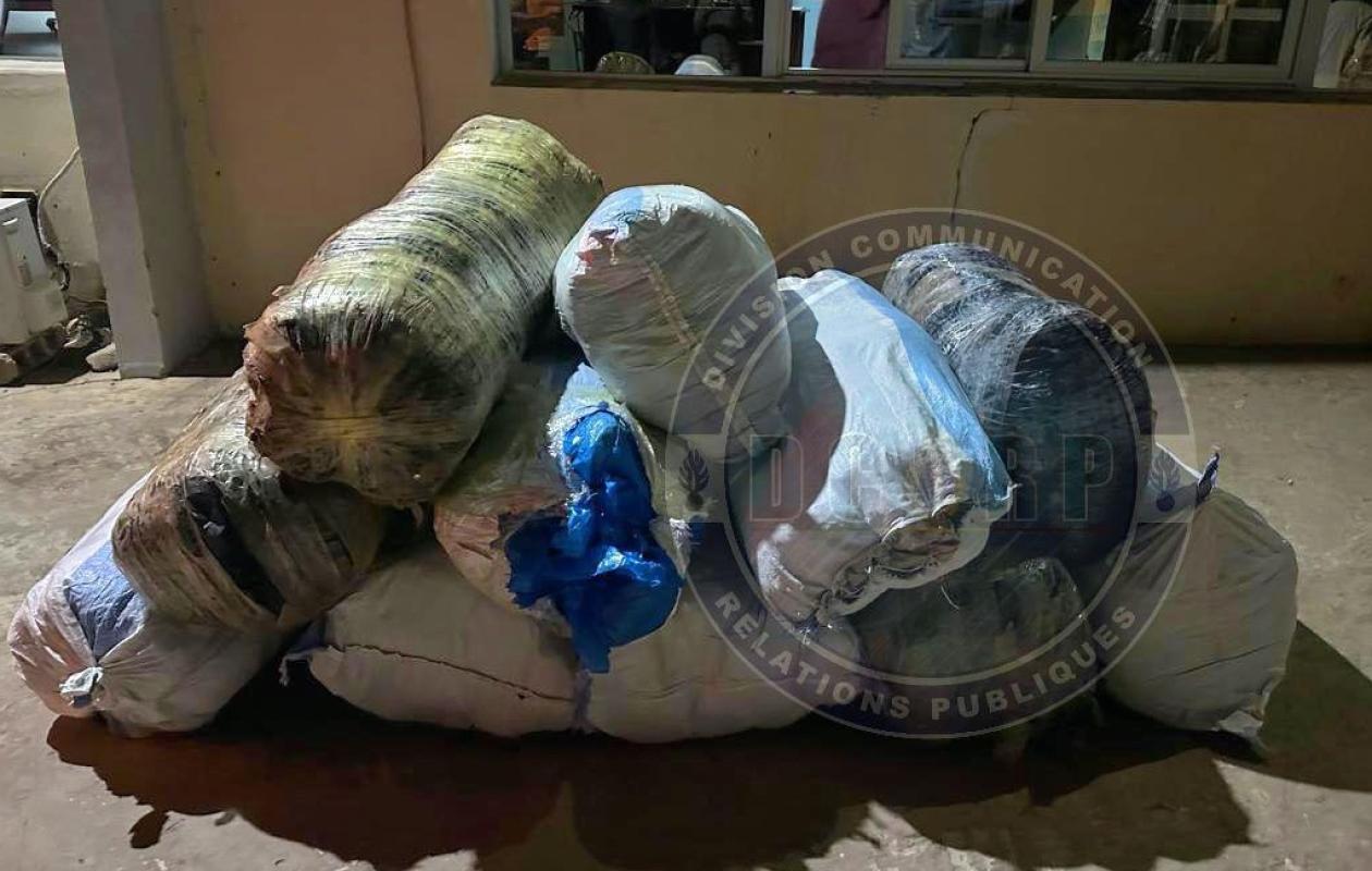 Mbour : plus de 160 kg de chanvre indien saisis entre Mbaling et Sinthiou Mbadane