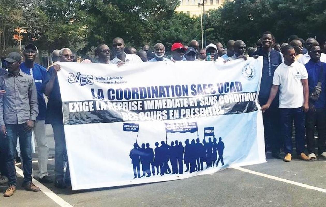 Enseignement supérieur : Seneweb s'interroge sur le silence du SAES face aux diplômes non habilités
