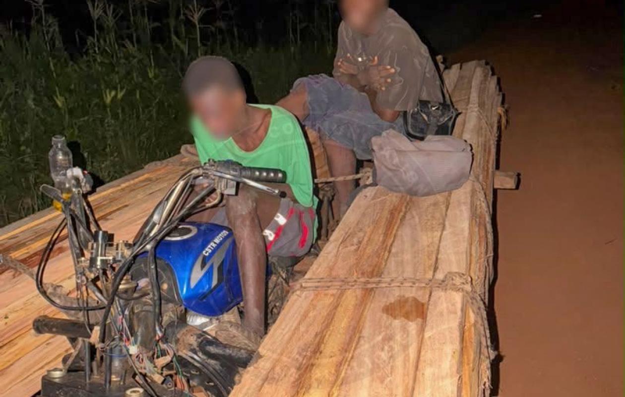 Trafic de bois à Kédougou : 188 pièces saisies, deux hommes interpellés