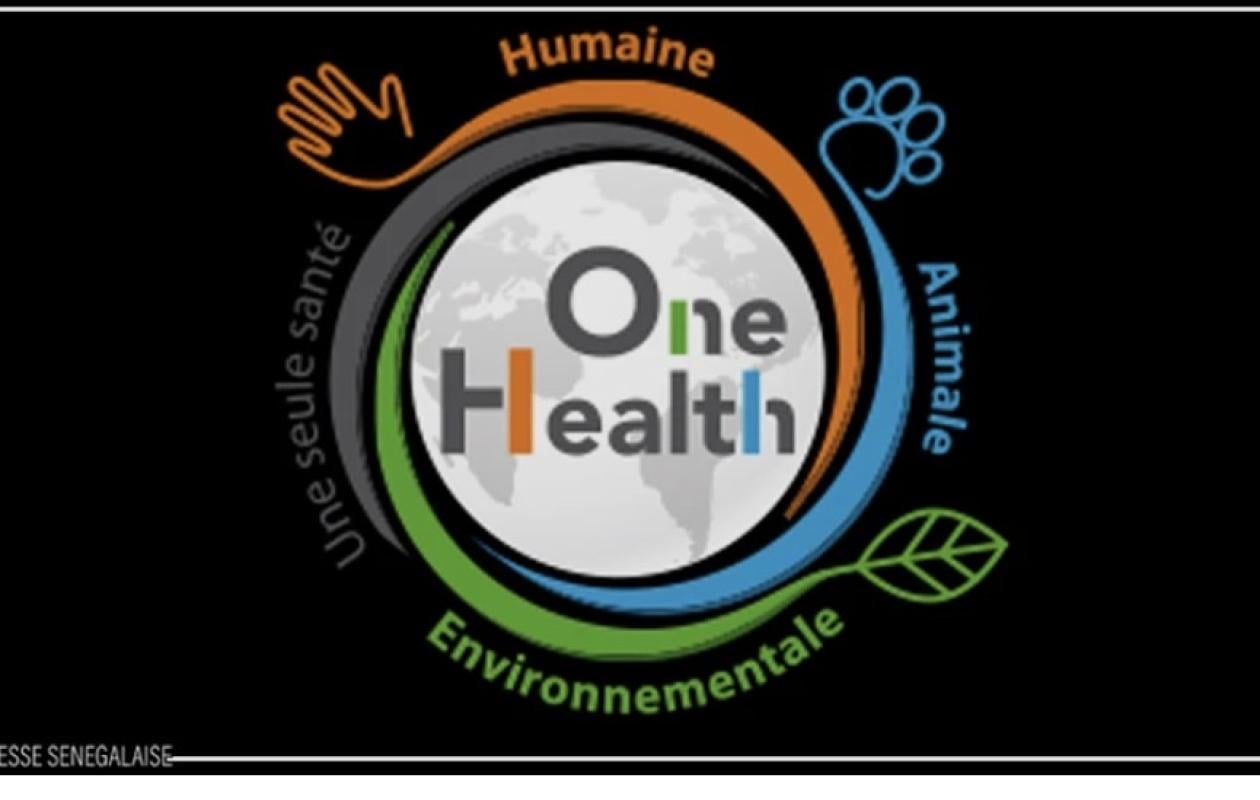 One Health : Saint-Louis veut anticiper la lutte contre les zoonoses