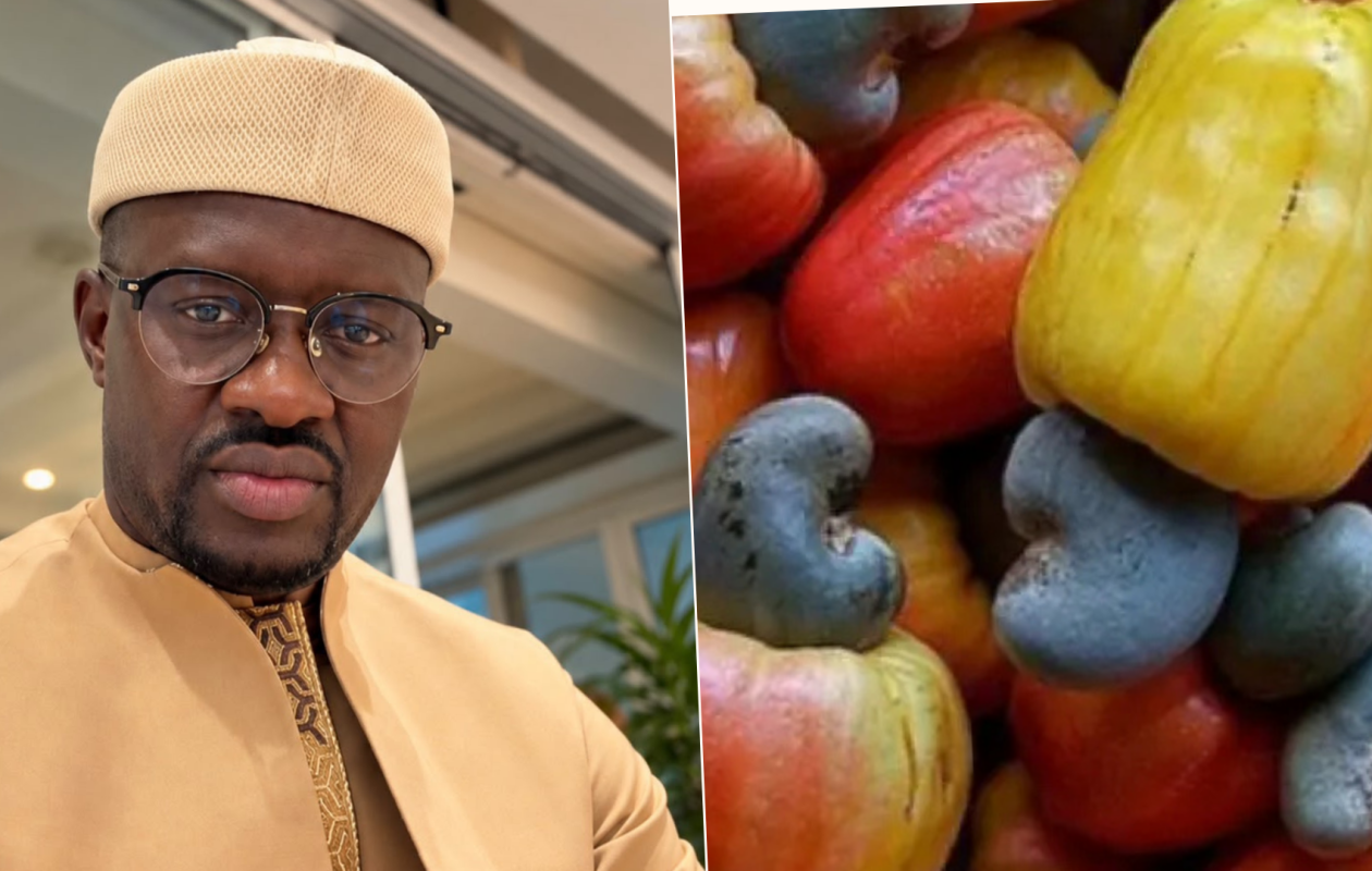 Campagne agricole 2026-2027 : l'interprofession cajou dénonce son absence des mesures de soutien