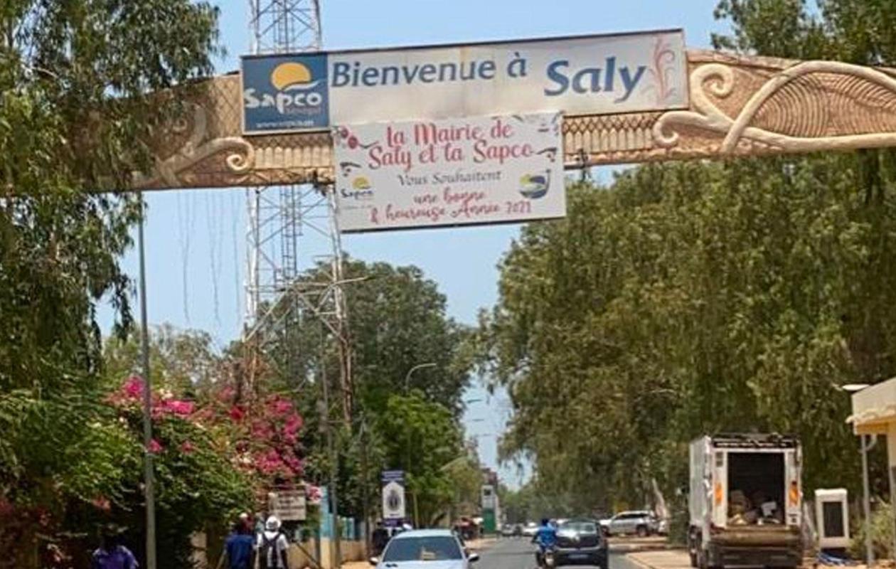 Saly, Ngaparou et La Somone : les animaux errants mis en fourrière à partir du 31 octobre