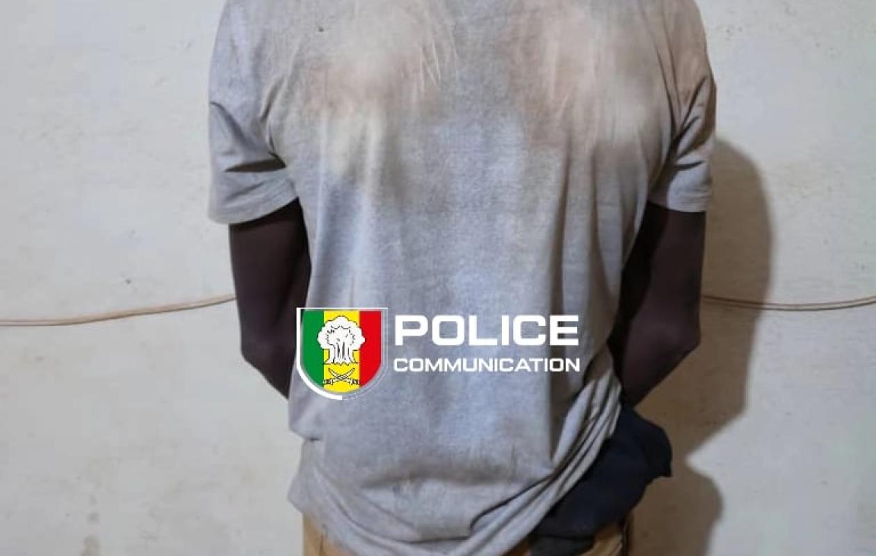 Saraya : un orpailleur arrêté à Farading avec du chanvre indien et 88 comprimés de tramadol